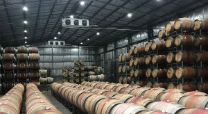 Tyrrell's Wines following an LED lighting upgrade with Shine On